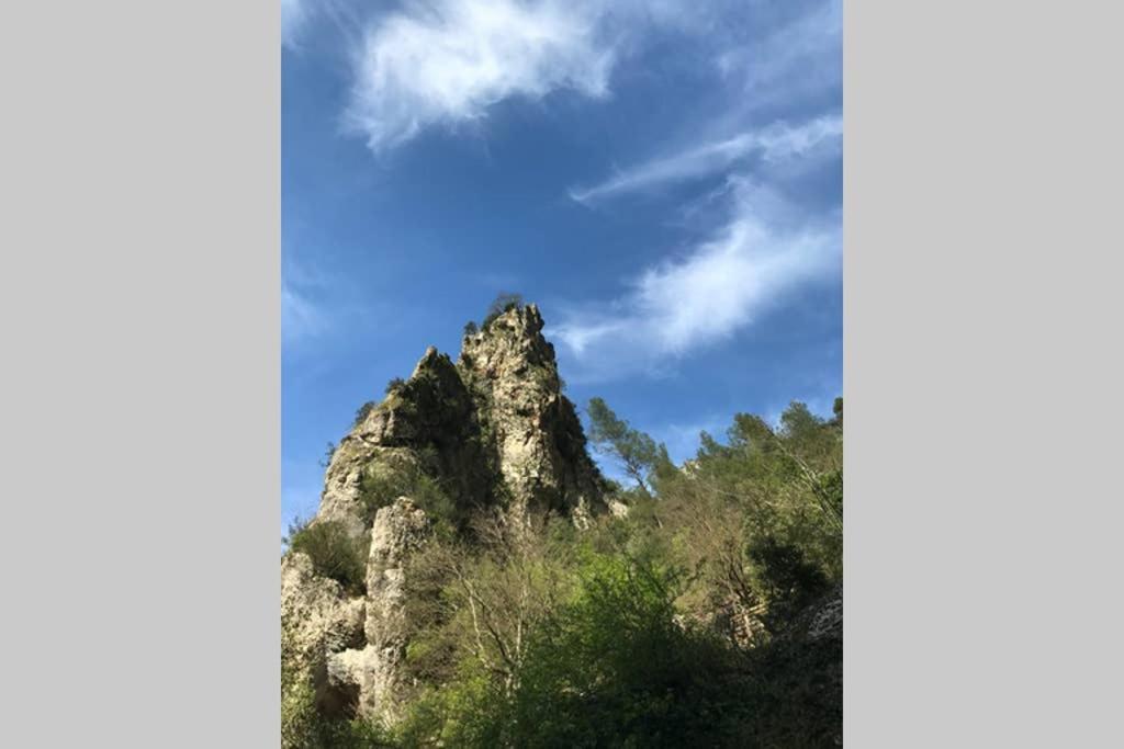 La Mansio Villa LʼIsle-sur-la-Sorgue Eksteriør billede